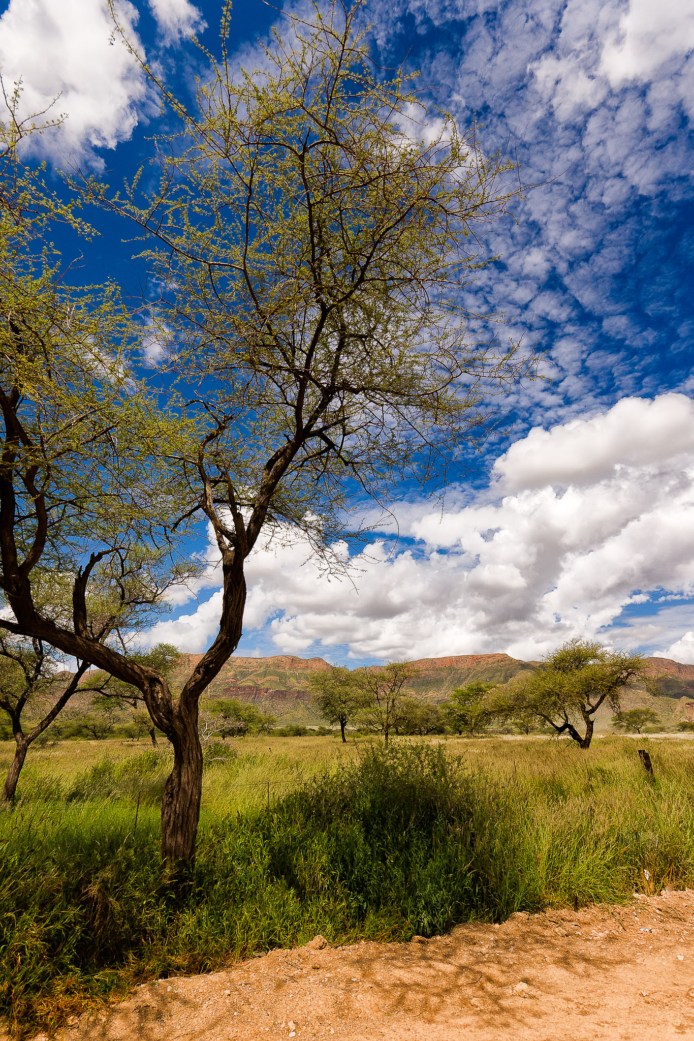 Near Naukluft Mountains, Namibia